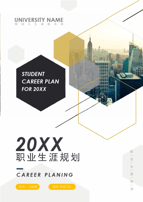 学前教育大学生职业生涯规划书