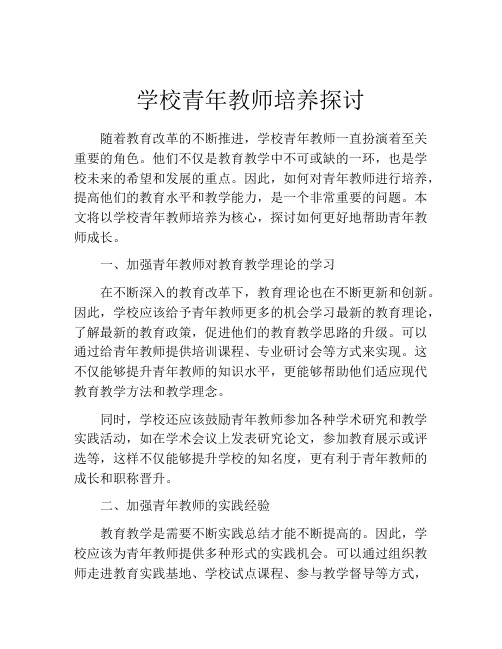 学校青年教师培养探讨