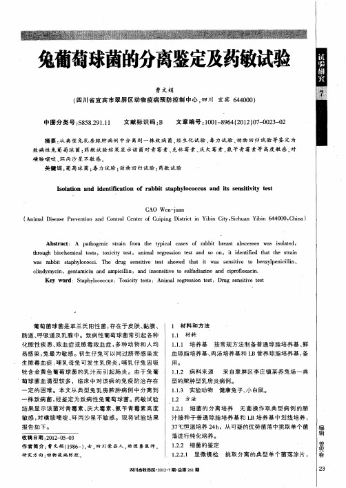 兔葡萄球菌的分离鉴定及药敏试验