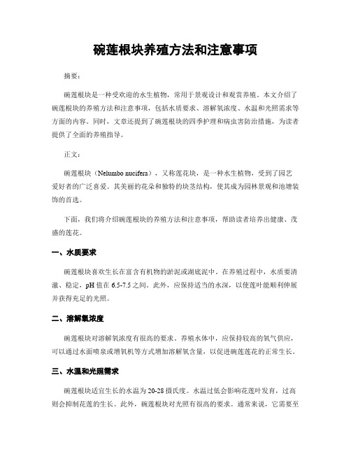 碗莲根块养殖方法和注意事项