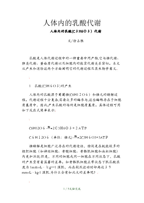 人体内的乳酸代谢(干货分享)