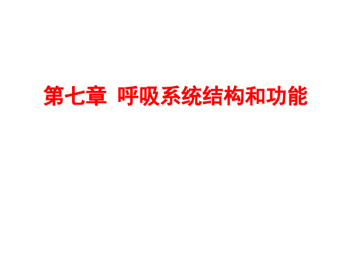 人体解剖生理学：第七章 呼吸系统结构和功能