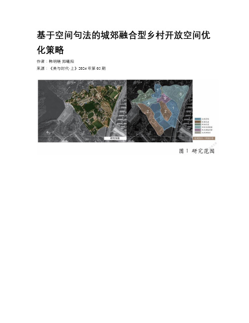 基于空间句法的城郊融合型乡村开放空间优化策略