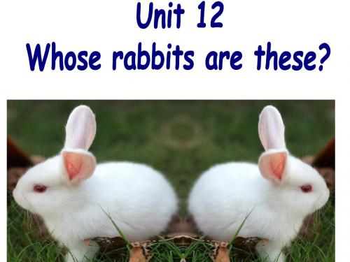 广州版英语三年级下册Module 6 Unit 12《Whose rabbits are these》PPT课件2