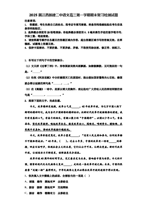 2025届江西新建二中语文高三第一学期期末复习检测试题含解析