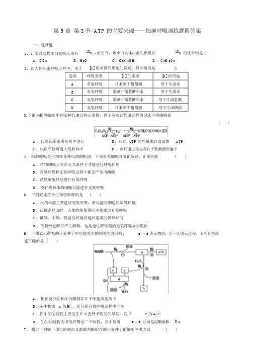 (完整版)第5章第3节ATP的主要来源细胞呼吸训练题附答案