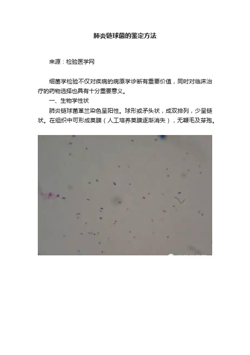 肺炎链球菌的鉴定方法