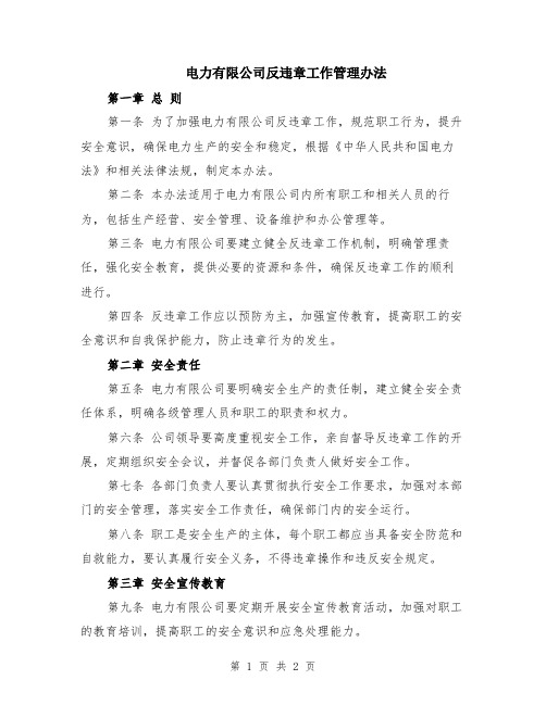 电力有限公司反违章工作管理办法