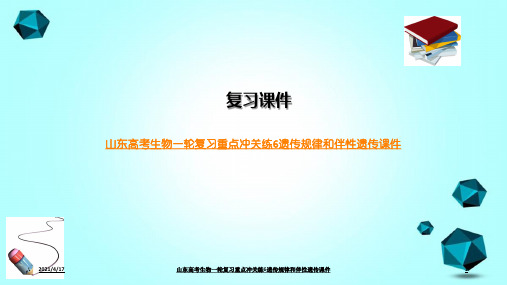 山东高考生物一轮复习重点冲关练6遗传规律和伴性遗传课件