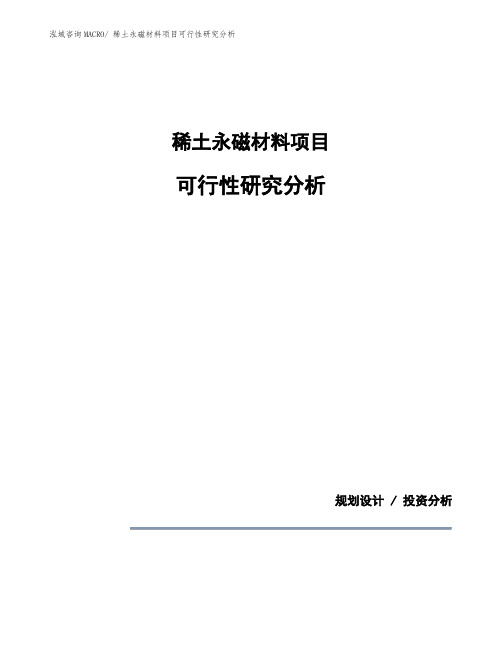 稀土永磁材料项目可行性研究分析 (1)