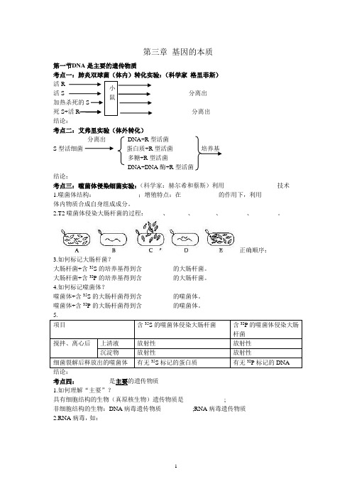 必修二第三章基因的本质基础知识复习提纲