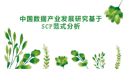 中国数据产业发展研究基于SCP范式分析