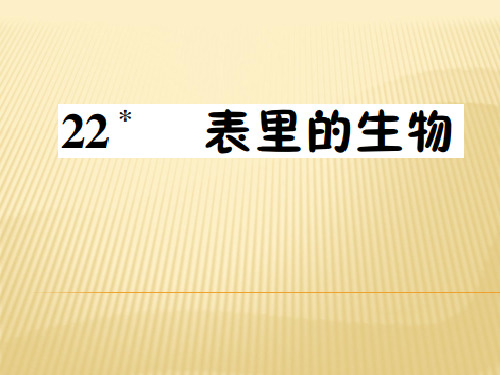 六年级上册语文课件 22.表里的生物 语文S版 (共7张PPT)