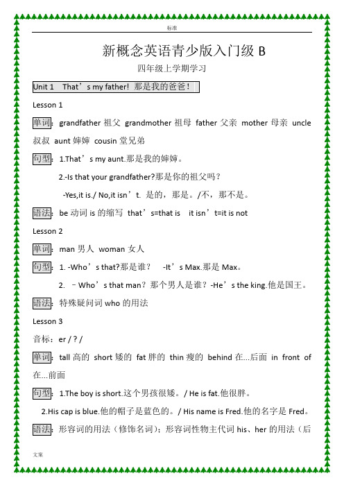 新概念英语青少版入门级B课本整理