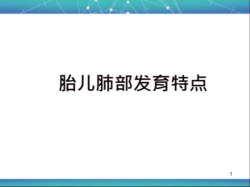 胎儿肺部发育特点ppt课件