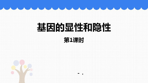 3基因的显性和隐性