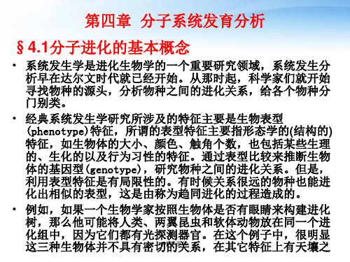 生物信息学第六章分子系统发育分析  ppt课件