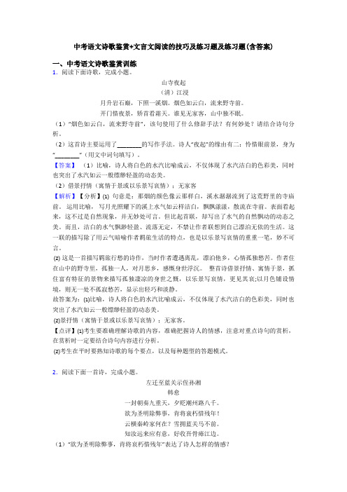 中考语文诗歌鉴赏+文言文阅读的技巧及练习题及练习题(含答案)