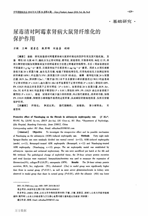 2.2.9阿霉素肾病大鼠肾纤维化的保护作用