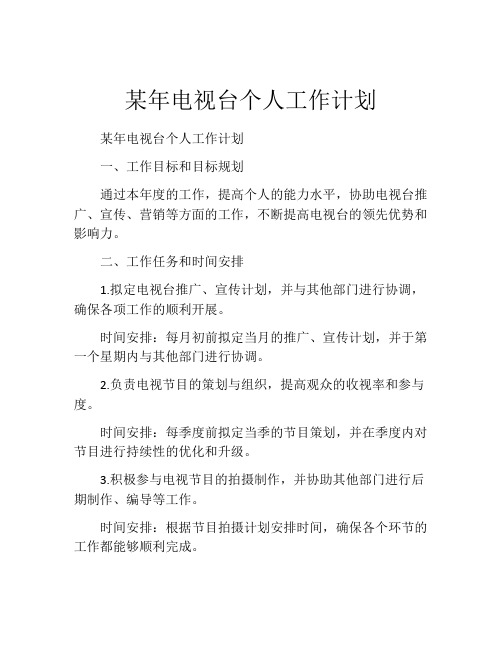 某年电视台个人工作计划