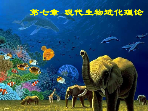 高中生物必修二  达尔文进化论