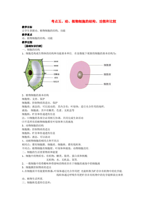 人教版生物七上《植物细胞》同课异构 精品教案 (4)