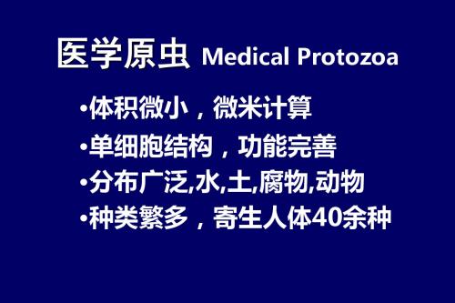 医学教学原虫、阿米巴、鞭毛虫