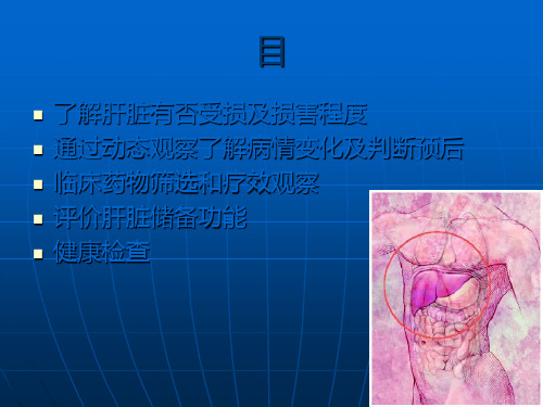 肝脏病常见实验室检查