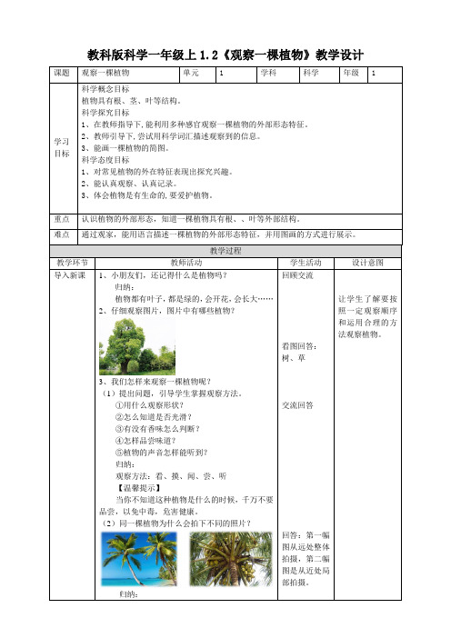 新教科版科学一年级1.2《观察一棵植物》教案