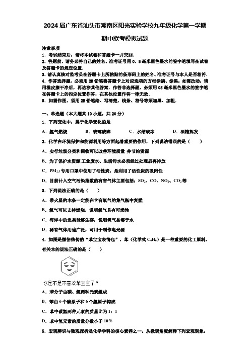 2024届广东省汕头市潮南区阳光实验学校九年级化学第一学期期中联考模拟试题含答案解析