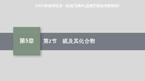 2025年高考化学一轮复习课件(适用于新高考新教材) 第2节 硫及其化合物