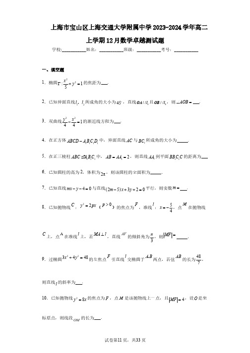 上海市宝山区上海交通大学附属中学2023-2024学年高二上学期12月数学卓越测试题