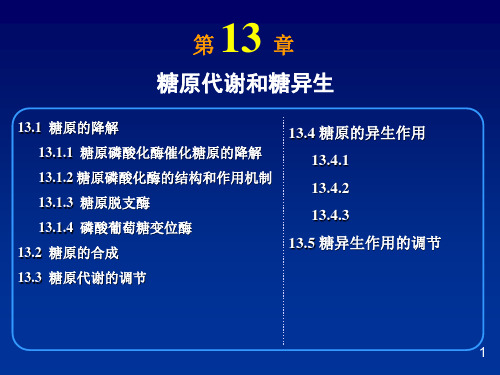 13糖原代谢和糖异生