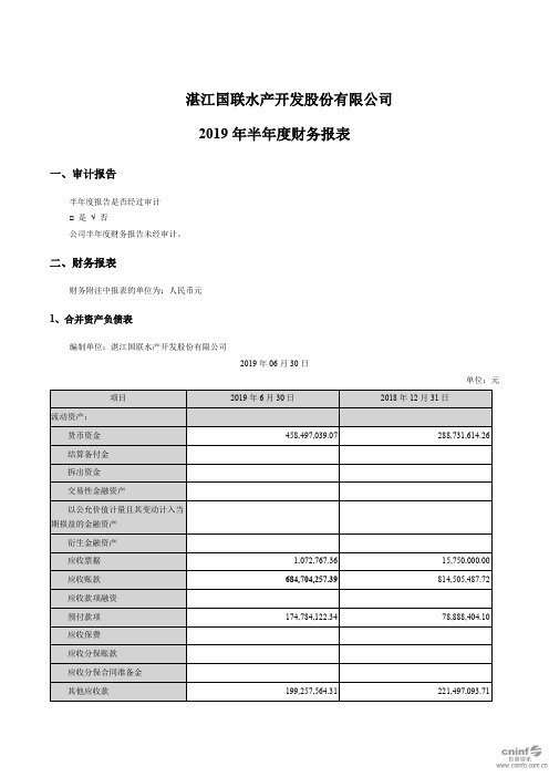 国联水产：2019年半年度财务报表(更新后)