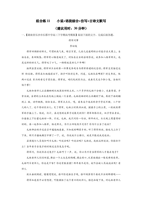 高考语文_考点组合专练11：小说、语段综合、仿写、古诗文默写(解析版)