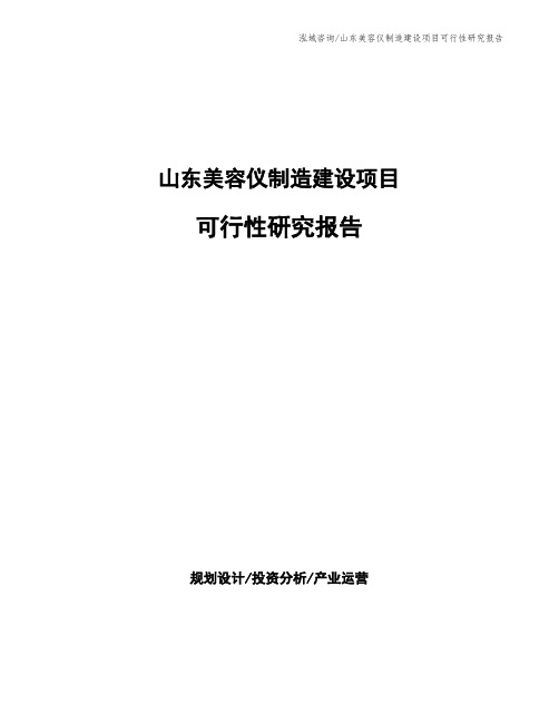 山东美容仪制造建设项目可行性研究报告