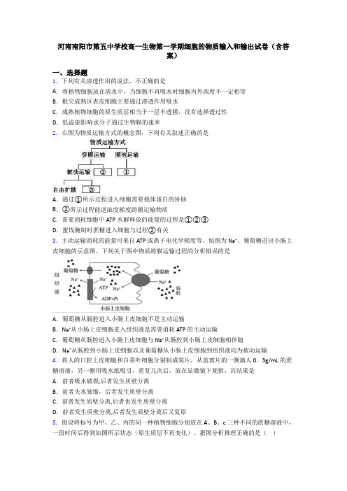 河南南阳市第五中学校高一生物第一学期细胞的物质输入和输出试卷(含答案)