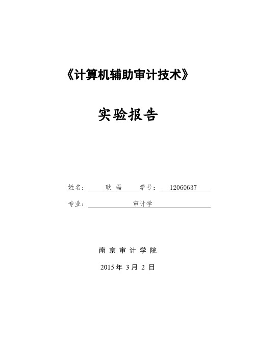 (计算机辅助审计技术)实验报告(南京审计学院)