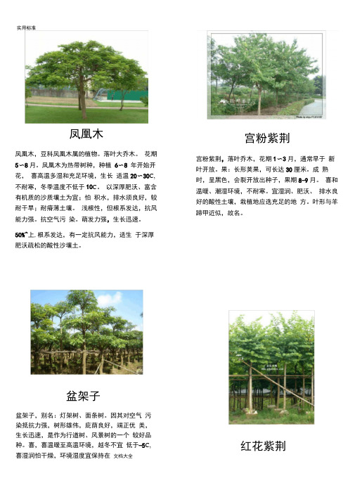 南方几种常见绿化植物介绍