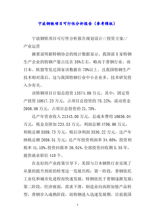 宁波钢铁项目可行性分析报告(参考模板)