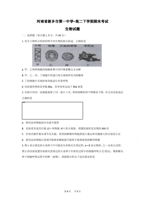 高二下学期期末考试生物试题含答案 (1)