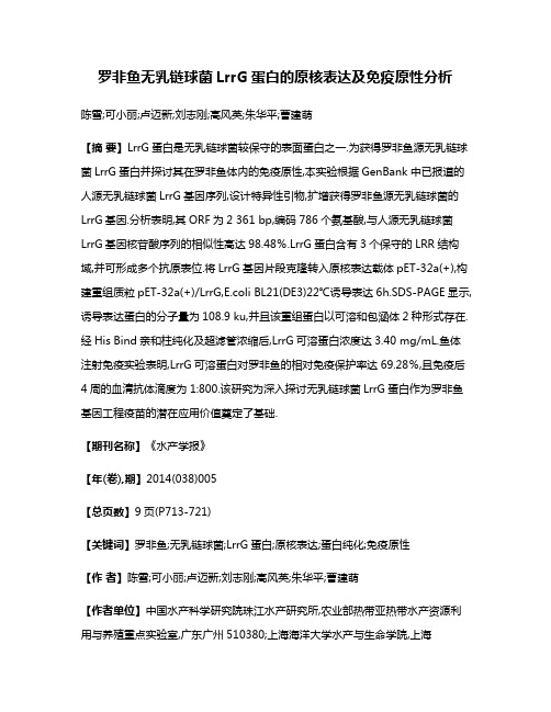 罗非鱼无乳链球菌LrrG蛋白的原核表达及免疫原性分析