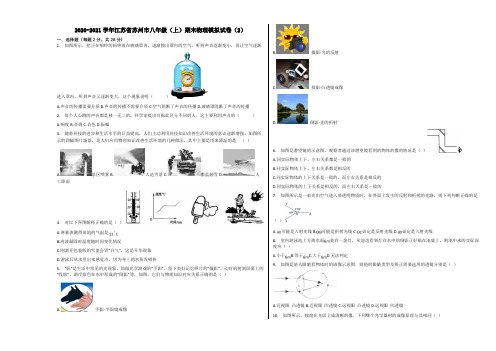 2020-2021学年江苏省苏州市八年级(上)期末物理模拟试卷(2)含解析