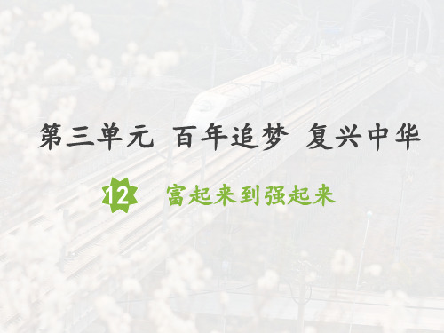 统编人教部编版小学五年级下册道德与法治12.富起来到强起来课件