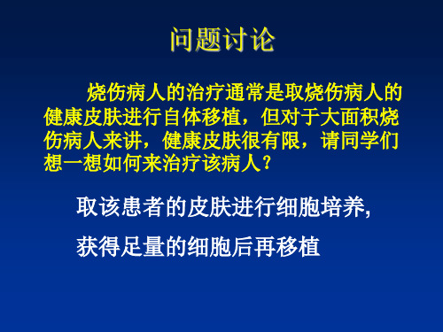 动物细胞工程复习课件