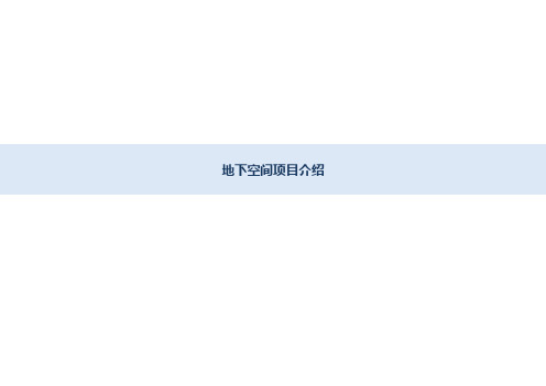 城市更新及地下空间开发设计案例总结PPT优质课件