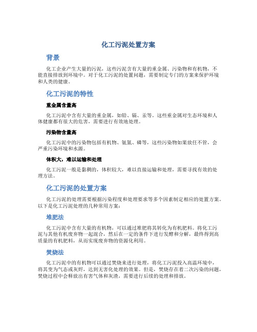 化工污泥处置方案