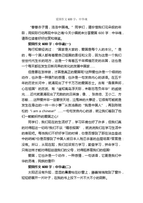 爱国作文600字：中华魂_爱国作文_