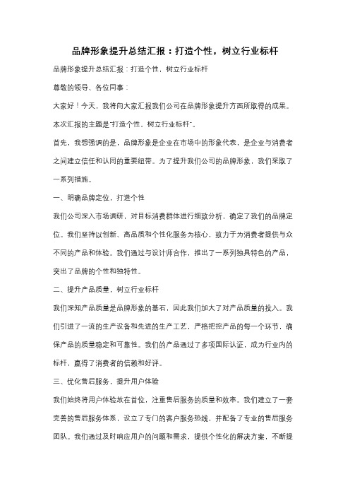 品牌形象提升总结汇报：打造个性,树立行业标杆