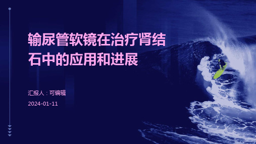 输尿管软镜在治疗肾结石中的应用和进展